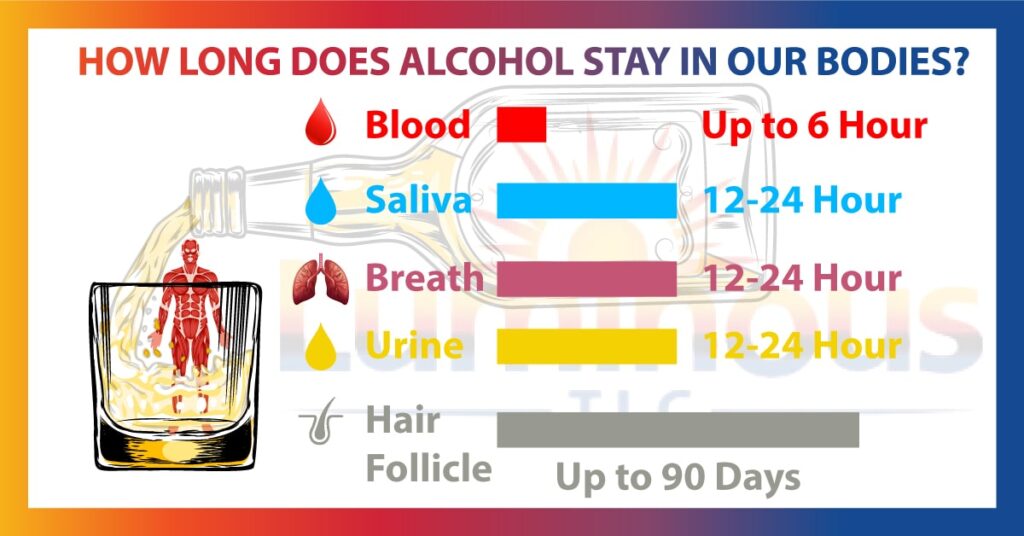 How Long Does Alcohol Stay In Our Bodies The Luminous Care 9443