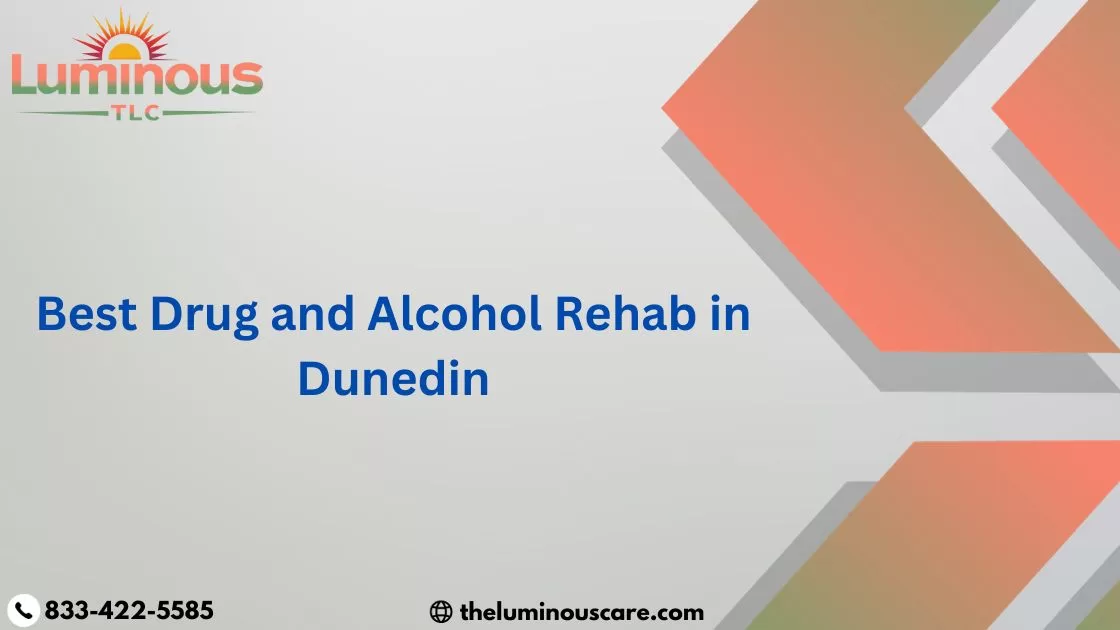 Best Drug and Alcohol Rehab in Dunedin