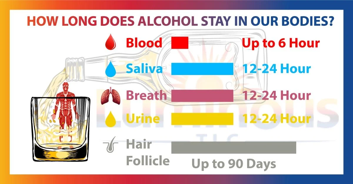 How Long Does Alcohol Stay